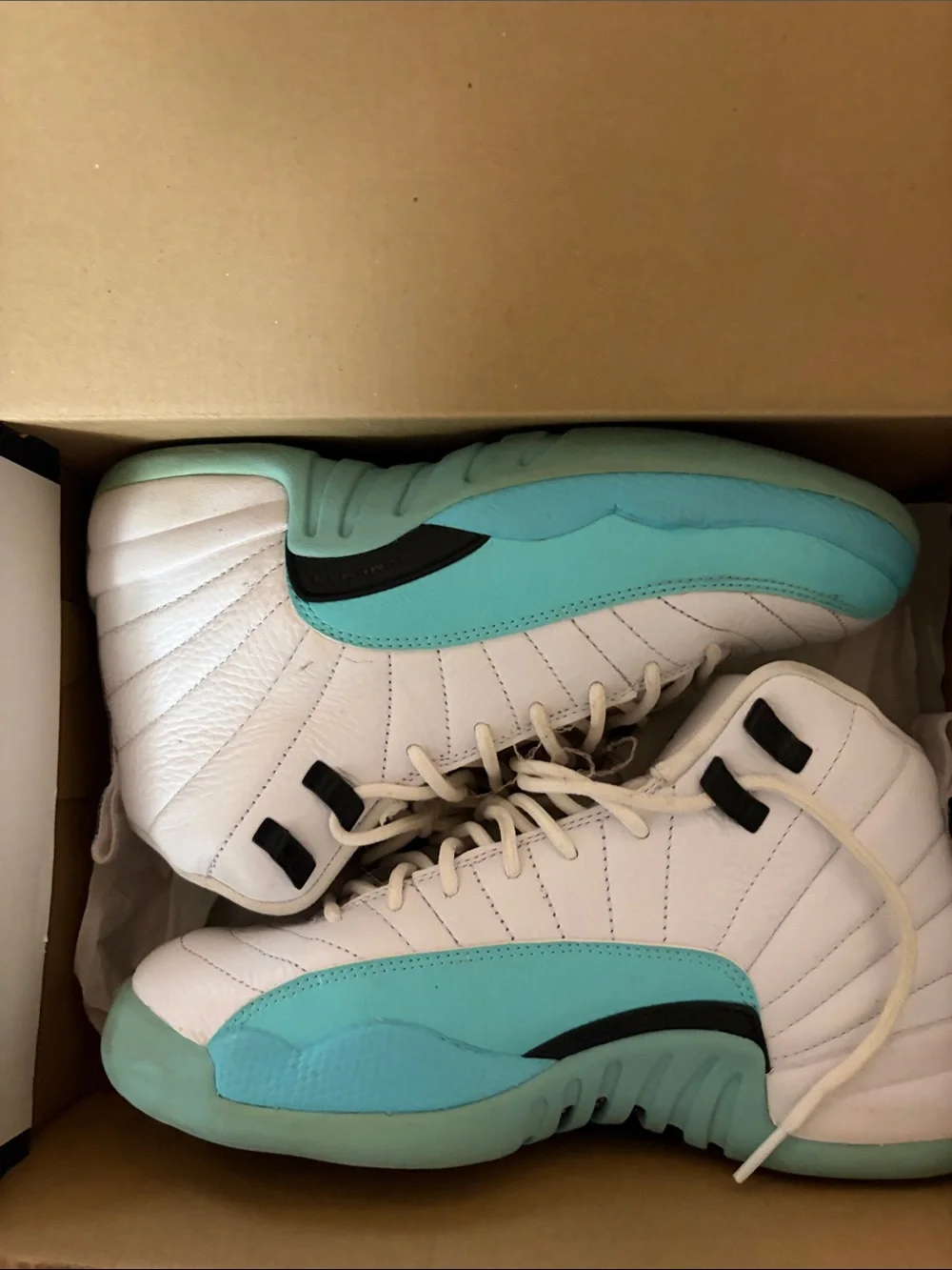 Kids Air Jordan 12 TETRO